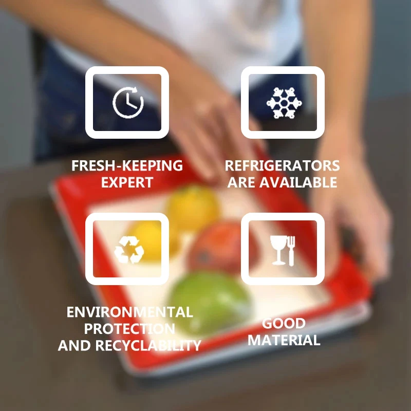 Gıda Saklama Tepsisi PP Yenide - Food Storage And Safety incelemesi ve fiyatı