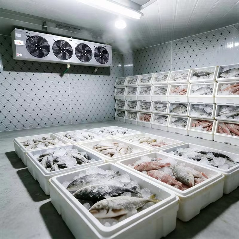 Özelleştirilmiş Gıda Sınıfı So - Food Storage And Safety incelemesi ve fiyatı